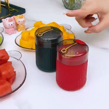 Pop-up Automatic Toothpick Dispenser