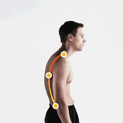 Adjustable Posture Belt